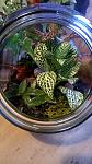     
: WP_20151125_13_39_17_Pro.jpg
: 20
:	102.9 
ID:	10600023