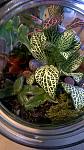     
: WP_20151125_13_39_25_Pro.jpg
: 18
:	100.6 
ID:	10600024