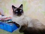    
: IMG_20151123_215158.jpg
: 8
:	99.9 
ID:	10604279