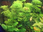     
: IMG_20151126_133655.jpg
: 7
:	197.9 
ID:	10605268
