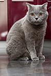     
: DSC_0005.jpg
: 21
:	58.9 
ID:	10606810