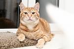     
: DSC_1438.jpg
: 4
:	47.6 
ID:	10606898