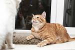     
: DSC_1433.jpg
: 4
:	48.4 
ID:	10606899