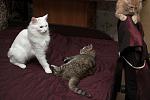    
: DSC_1460.jpg
: 9
:	44.2 
ID:	10606900