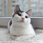     
: file-24.jpg
: 7
:	44.0 
ID:	10608748