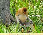     
: PQQsMsfJWds.jpg
: 12
:	99.1 
ID:	10609194