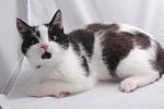     
: DSC_6164.jpg
: 14
:	94.6 
ID:	10614565