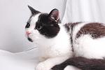     
: DSC_6174.jpg
: 16
:	91.2 
ID:	10614585