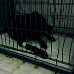     
: image.jpg
: 74
:	75.9 
ID:	10615285