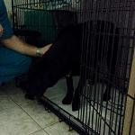     
: image (1).jpg
: 72
:	77.6 
ID:	10615286