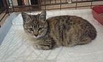     
: 20151129_151037.jpg
: 35
:	88.6 
ID:	10615413