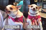     
: q-Cekk_Zths.jpg
: 18
:	57.9 
ID:	10617488
