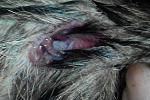     
: 20151130205219.jpg
: 41
:	278.7 
ID:	10621710