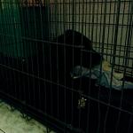     
: image (1).jpg
: 77
:	63.9 
ID:	10626095