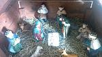     
: sDMvIw5T8Wo.jpg
: 20
:	62.2 
ID:	10626649