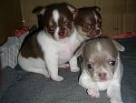     
: DSCN6068.jpg
: 4
:	110.9 
ID:	10632508