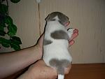     
: DSCN6083.jpg
: 2
:	131.7 
ID:	10632562