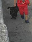     
: MoyllQLrc24.jpg
: 9
:	11.3 
ID:	10632714