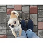     
: Вилли.jpg
: 50
:	71.7 
ID:	10633875