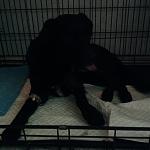    
: image (2).jpg
: 87
:	54.0 
ID:	10635757