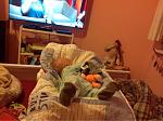     
: ImageUploadedByTapatalk1449170767.839875.jpg
: 35
:	52.2 
ID:	10637524