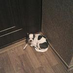     
: 9B3KhSo7Ih4.jpg
: 8
:	61.5 
ID:	10637670