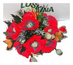     
: DSCF0280.jpg
: 5
:	139.4 
ID:	10638409