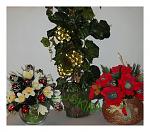     
: DSCF0274.jpg
: 4
:	124.2 
ID:	10638424