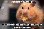    
: Pslg3u_k7i4.jpg
: 11
:	45.0 
ID:	10638616