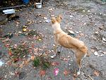     
: DSCN2442.jpg
: 9
:	305.6 
ID:	10642713