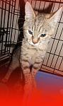     
: DSCN2506.jpg
: 8
:	81.3 
ID:	10642715