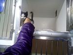     
: DSC_3015.jpg
: 13
:	96.6 
ID:	10643332