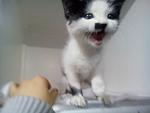     
: DSC_3005.jpg
: 13
:	69.6 
ID:	10643334