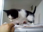     
: DSC_3002.jpg
: 15
:	77.1 
ID:	10643335