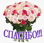     
: 609573.jpeg
: 24
:	83.0 
ID:	10644701