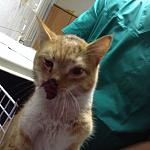     
: image (1).jpg
: 79
:	61.5 
ID:	10646216