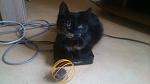     
: DSC_0407.jpg
: 6
:	64.5 
ID:	10646870