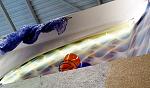     
: IMG_20151110_171307.jpg
: 40
:	106.1 
ID:	10648627