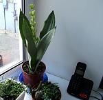     
: IMG_4297.jpg
: 3
:	108.1 
ID:	10649673