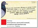     
: голуби как депу&#1.jpg
: 14
:	102.1 
ID:	10650168