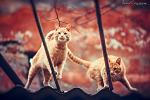     
: 0_dTkCyNjeQ.jpg
: 76
:	44.6 
ID:	10652417