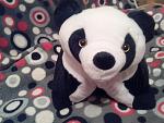     
: IMG_20151207_173043.jpg
: 52
:	116.2 
ID:	10652677