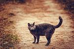     
: 12314394_1024072357635742_5625870353822579233_o.jpg
: 76
:	146.1 
ID:	10654161