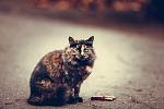     
: 12314413_1024073857635592_4322778548552847614_o.jpg
: 59
:	81.9 
ID:	10654206