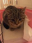     
: IMG_0879.jpg
: 7
:	74.5 
ID:	10658032