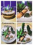     
: флорариум.jpg
: 19
:	75.0 
ID:	10660279