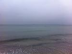     
: IMG_4425.jpg
: 18
:	85.8 
ID:	10660543