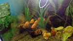     
: IMG_20151205_181937.jpg
: 11
:	109.7 
ID:	10661631