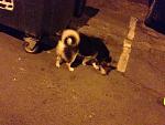     
: IMG_2891.JPG
: 21
:	32.7 
ID:	10661821