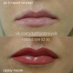     
: uploadfromtaptalk1449698959786.jpg
: 14
:	74.1 
ID:	10662706